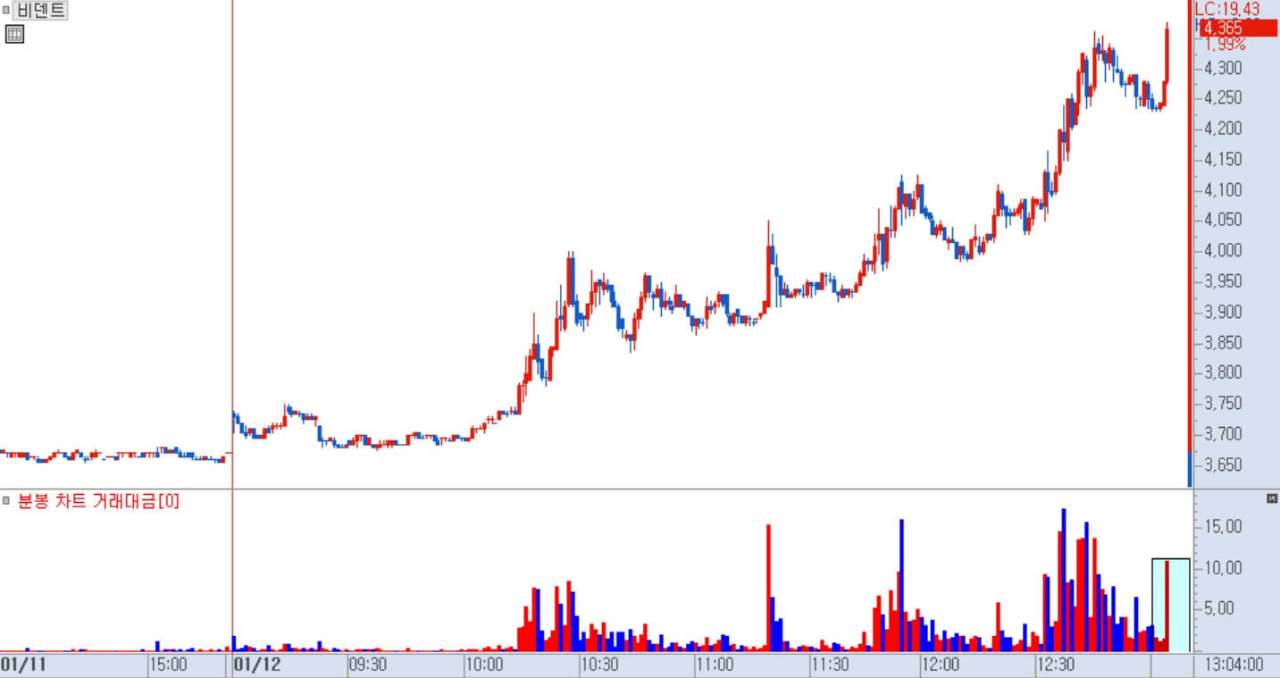비덴트 분봉 차트