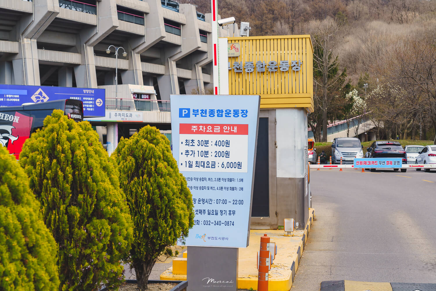 원미산 진달래축제