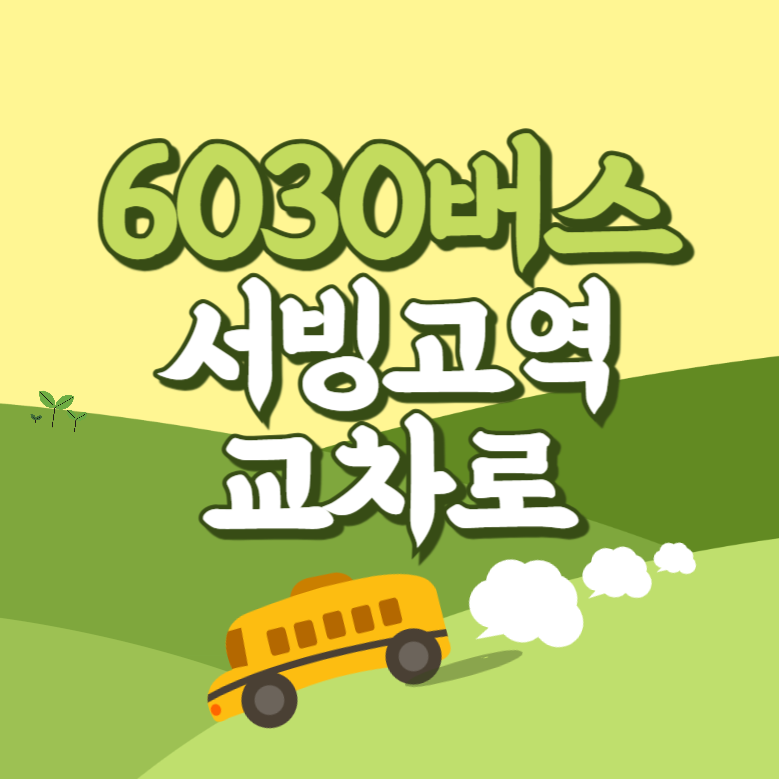 서빙고역교차로에서 인천공항 리무진 공항버스(6030번) 썸네일