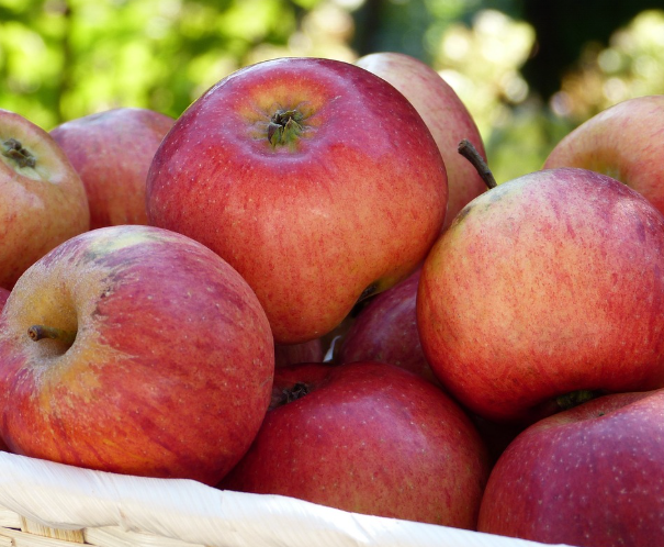 당뇨에 나쁜 과일