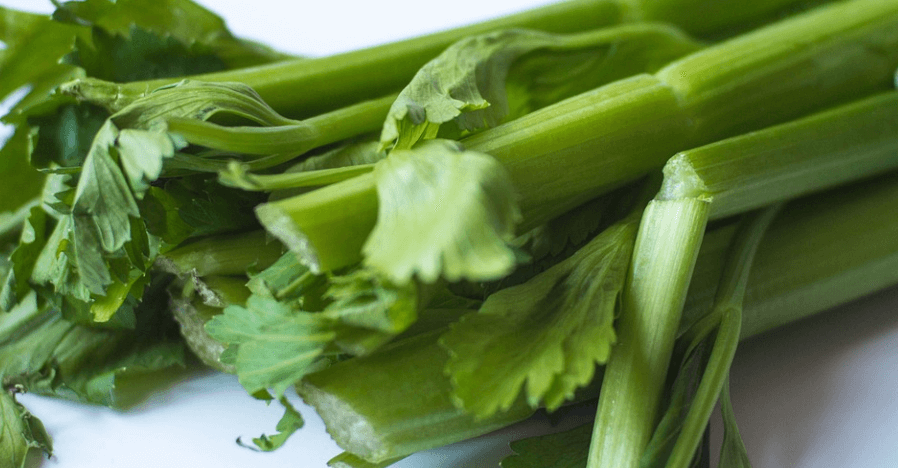 야채 셀러리 사진 - 12