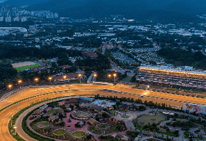 2024 렛츠런파크 서울 가을축제 밤마실 페스티벌