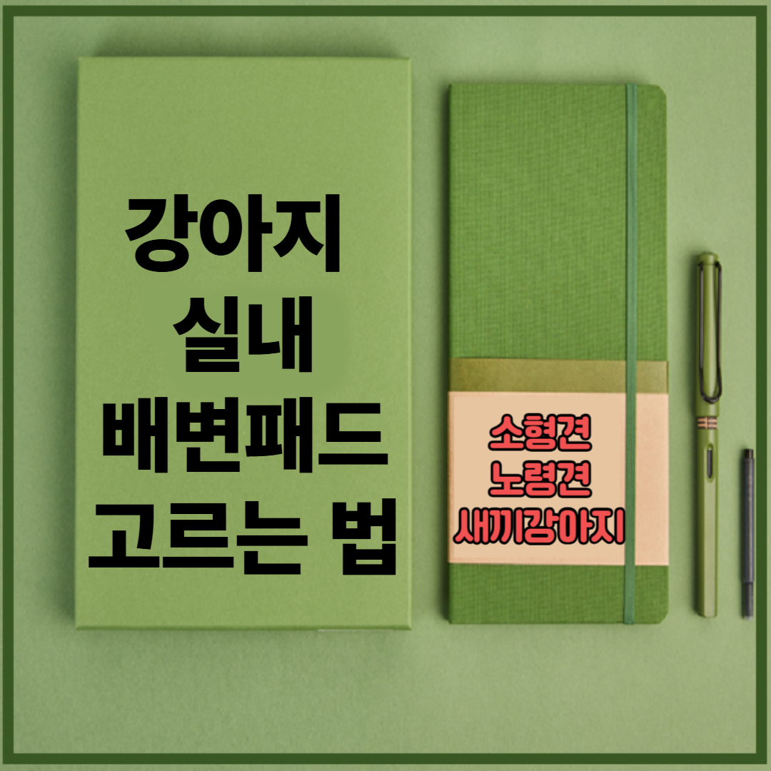 강아지 실내 배변패드 고르는 법