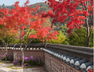 화담숲 예약 방법, 모노레일 시간