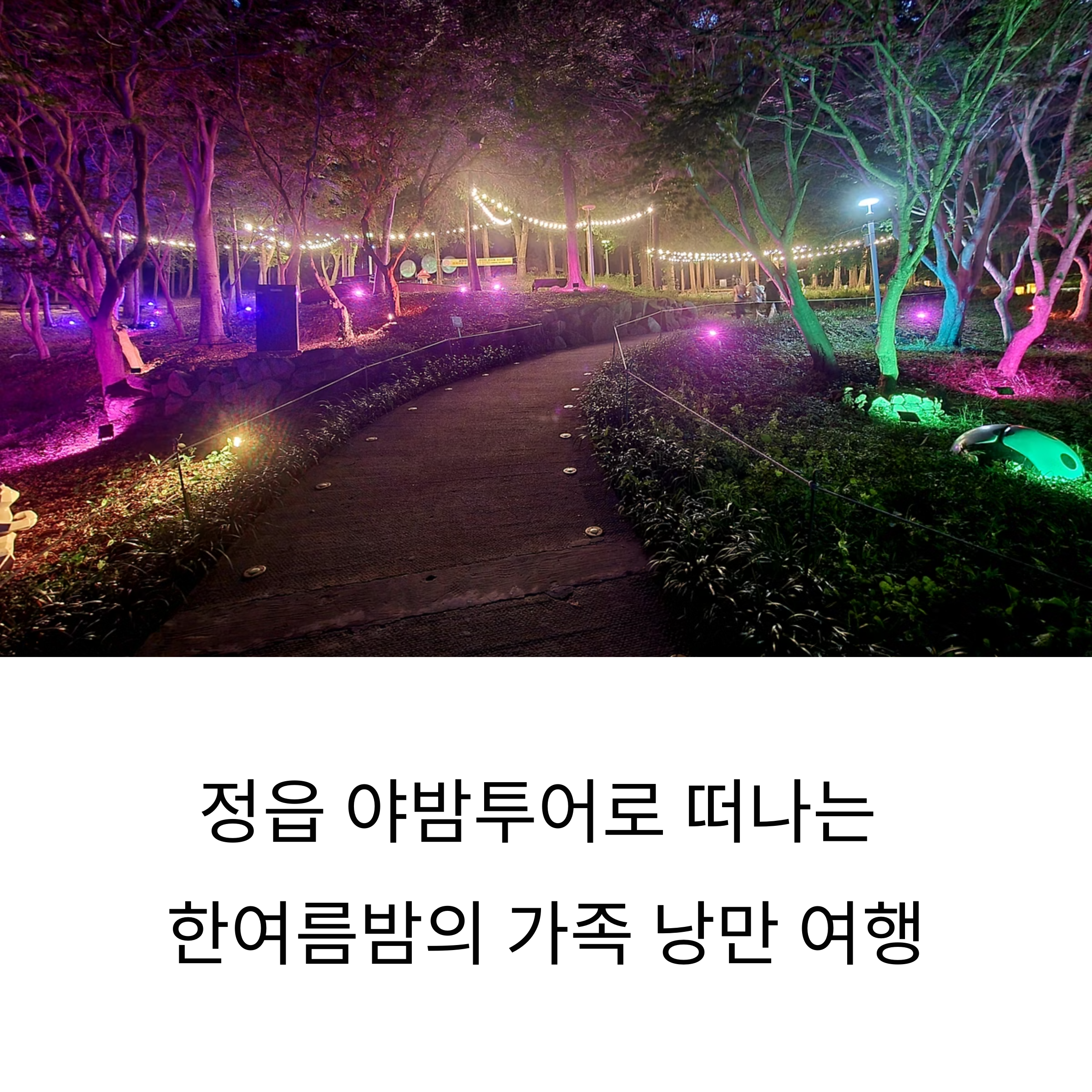 정읍 야밤투어