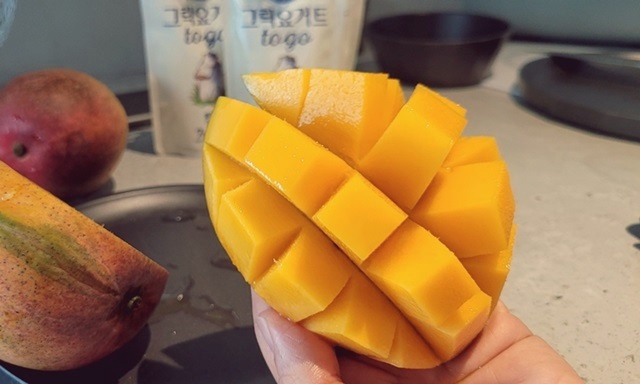 제주농협에서-산-제주산-애플망고-진짜-최고