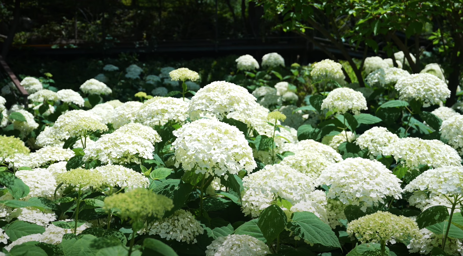 5. 화담숲 포토 스팟