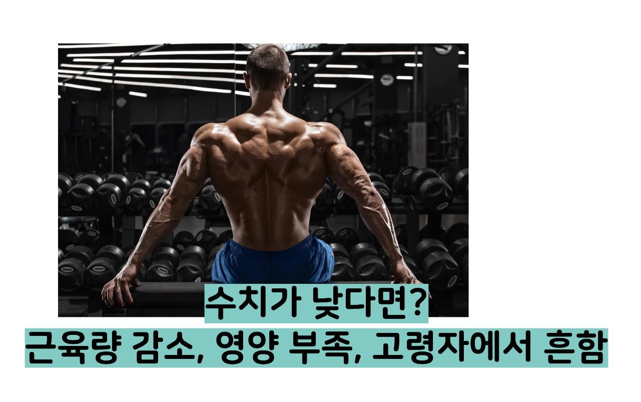 크레아티닌 정상수치