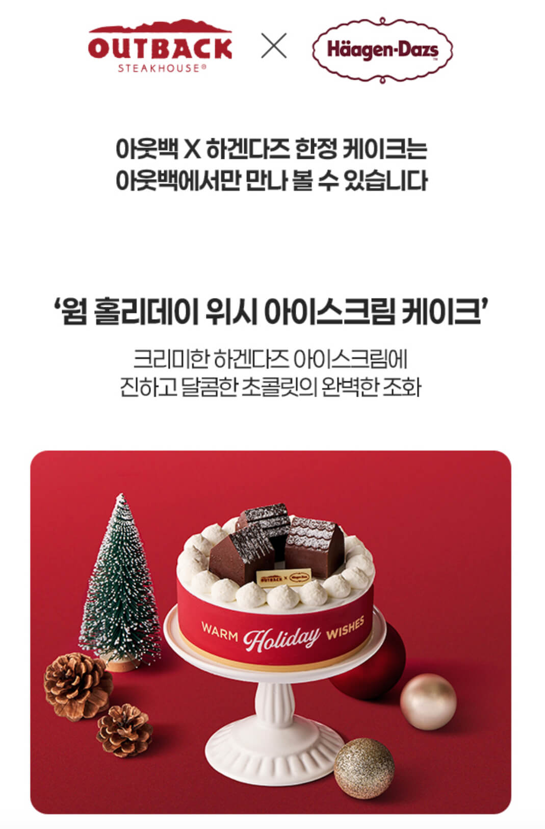 아웃백 하겐다즈 아이스크림케이크 웜 홀리데이 위시 아이스크림 케이크