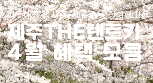 제주-렌트카-비교사이트