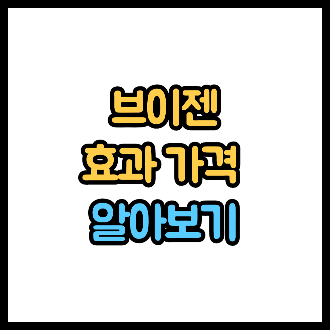 브이젠