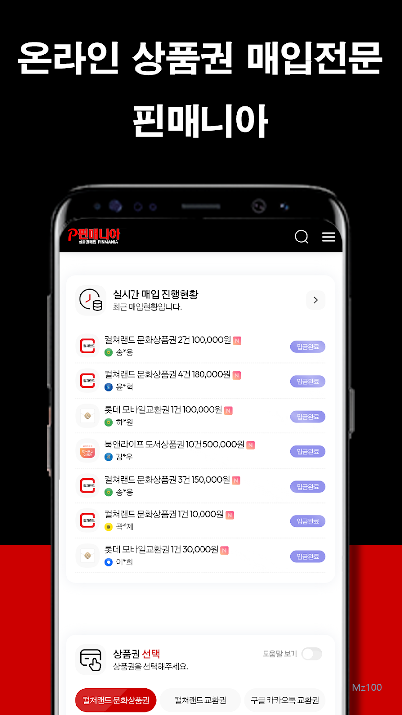 핀매니아 살펴보기 6