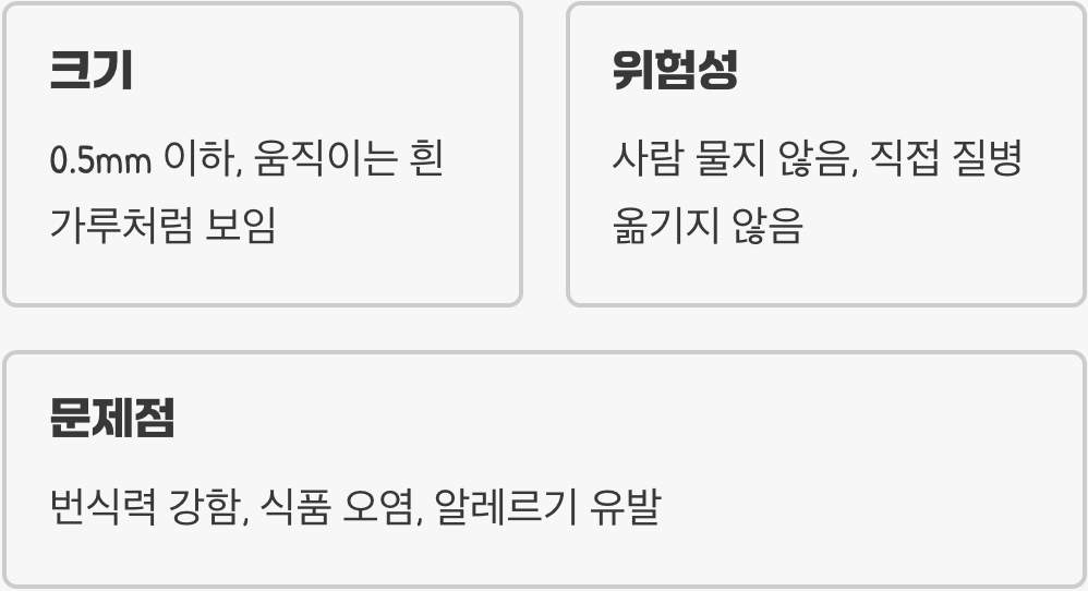 먼지인 줄 알았지? 이 벌레의 정체