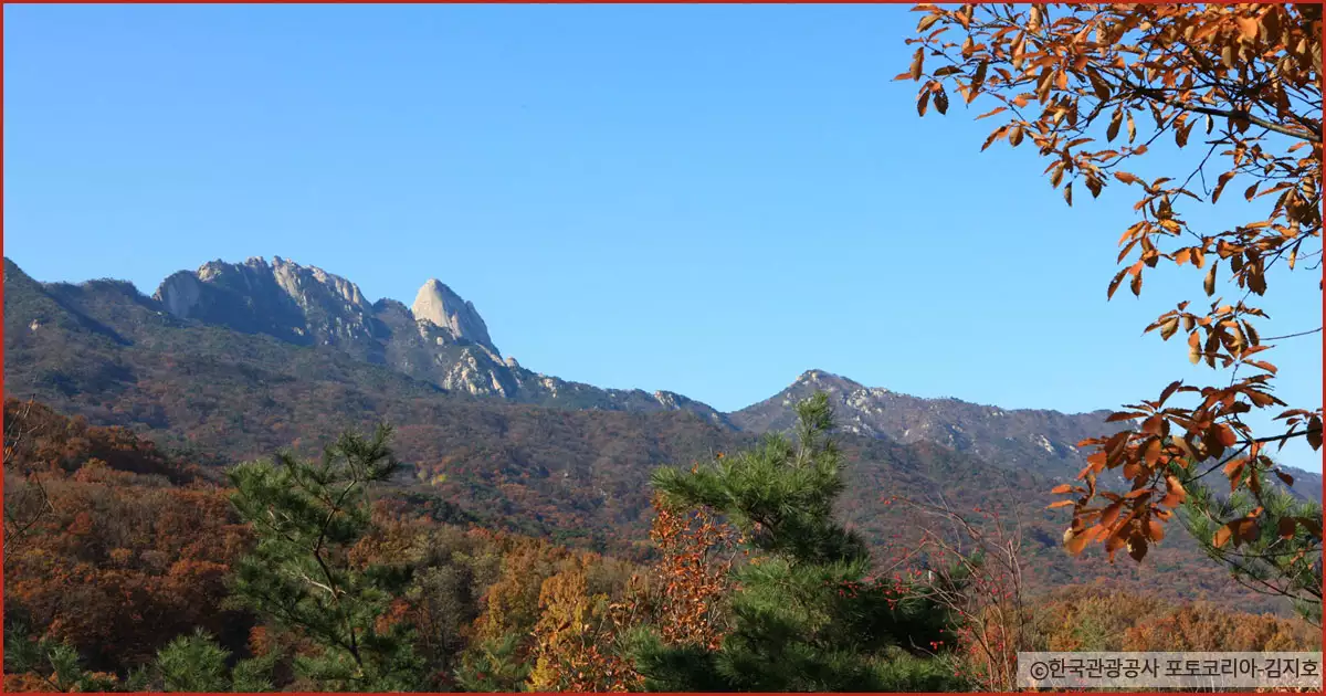 북한산 정상에서 바라본 가을단풍