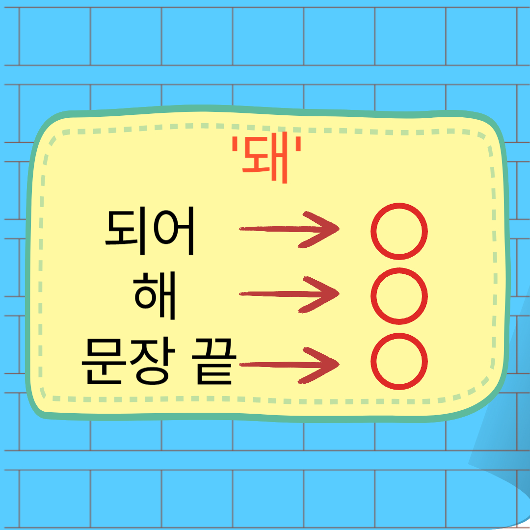 돼 구별