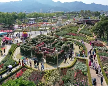 곡성 장미축제_8