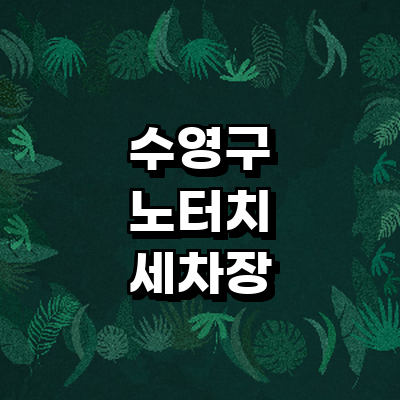 부산 수영구 노터치 세차