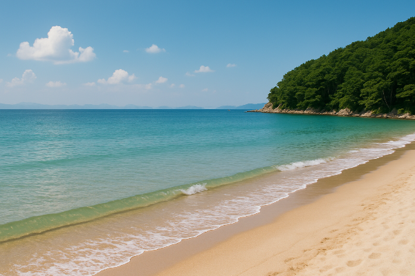 사람 없는 조용한 국내 바다 여행지 BEST 7 (찐 힐링 가능)