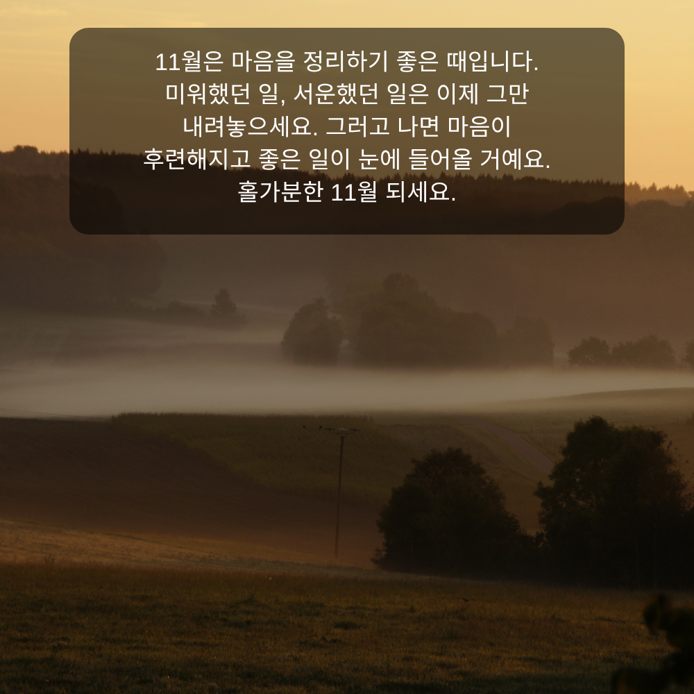 11월 인사말 26 마음 정리하는 11월 인사말 이미지
