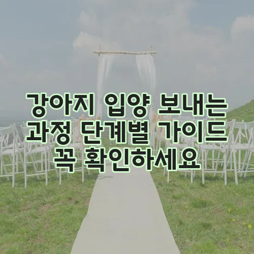 강아지 입양 보내는 과정 단계별 가이드 꼭 확인하세요