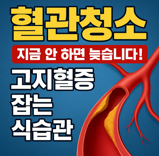 혈관청소 지금 안 하면 늦습니다! 고지혈증 잡는 식습관 핵심 정리