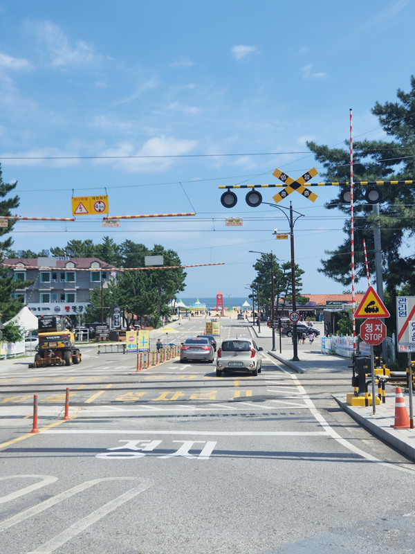 망상해수욕장_입구