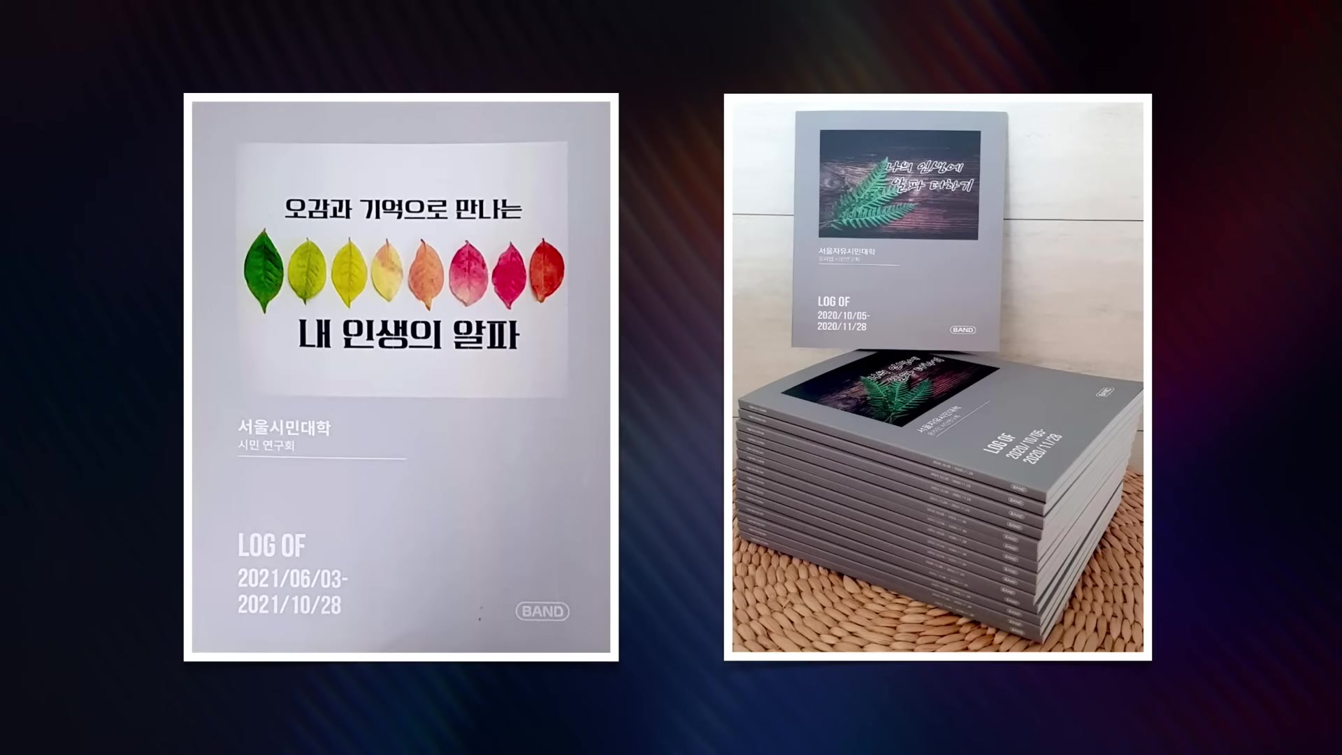 내 인생의 알파