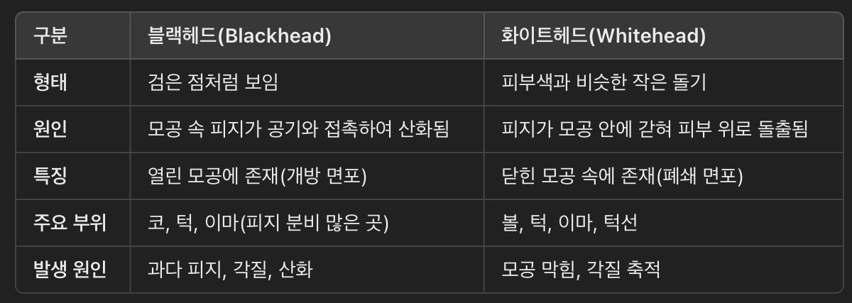 블랙헤드 &amp; 화이트헤드란?