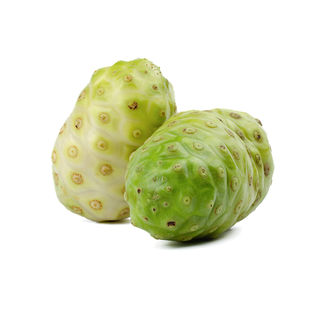 노니 맛있게 먹는 방법