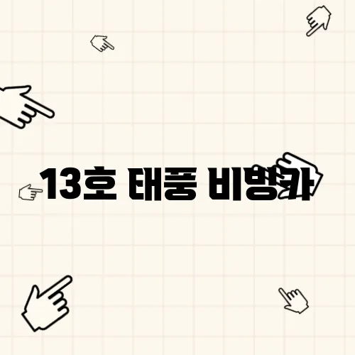 13호 태풍 비빙카