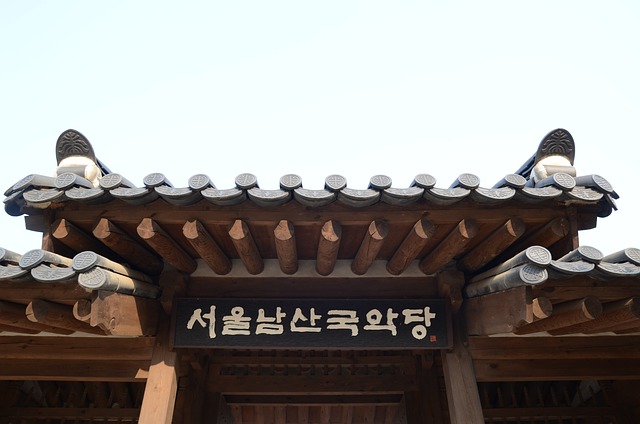 서울청년문화패스