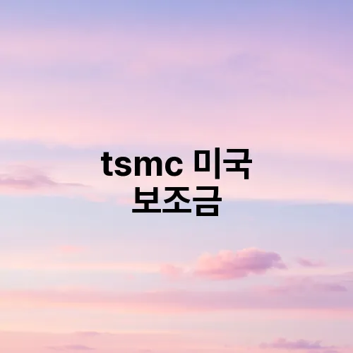tsmc 미국 보조금