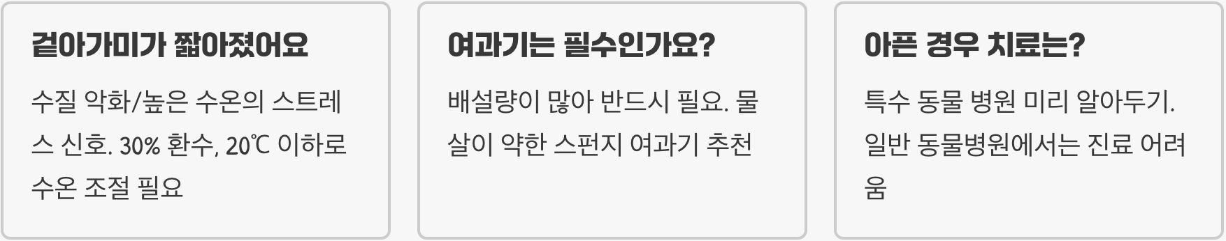 우파루파분양, 입양 전 반드시 알아야 할 5가지