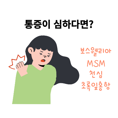 관절-영양제