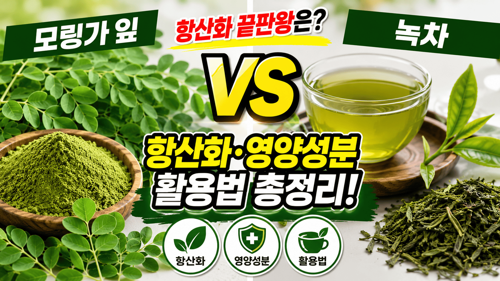모링가 잎 vs 녹차 (항산화, 영양성분, 활용법)