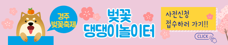 경주 벚꽃축제 벚꽃명소 벚꽃마라톤 대회