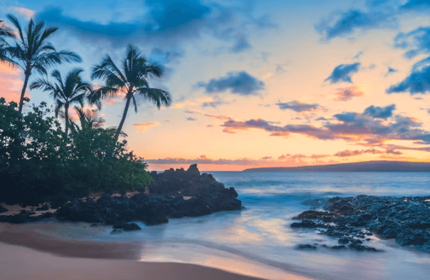 하와이 자유여행: 섬별 완벽 가이드 