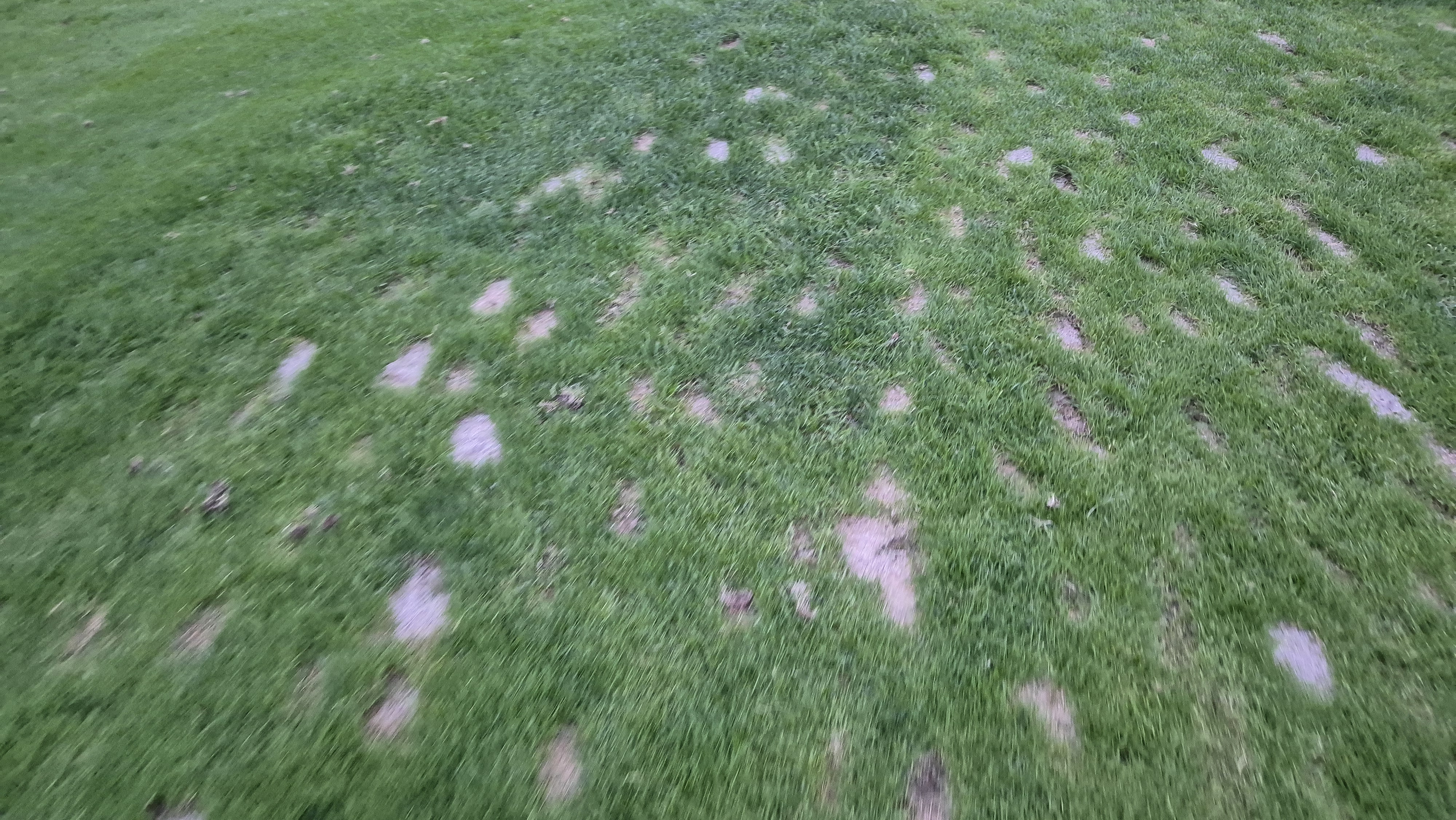 블랙스톤 벨포레cc 코스 관리 상태