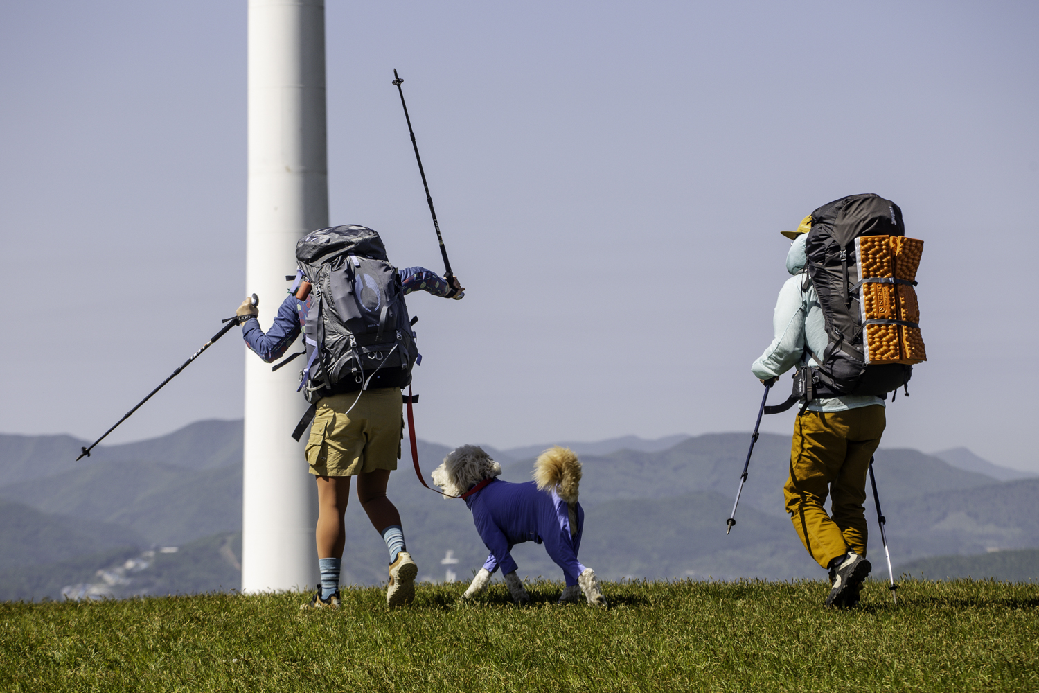 tnf100korea
tnf100gangwon
노스페이스 트레일러닝대회
선자령 트레일러닝