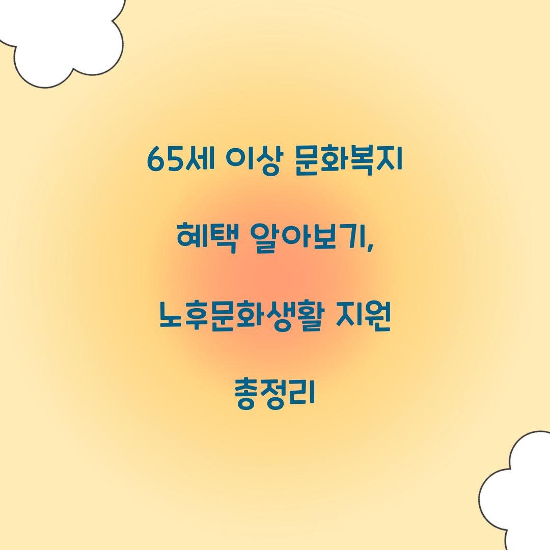 65세 이상 문화복지
