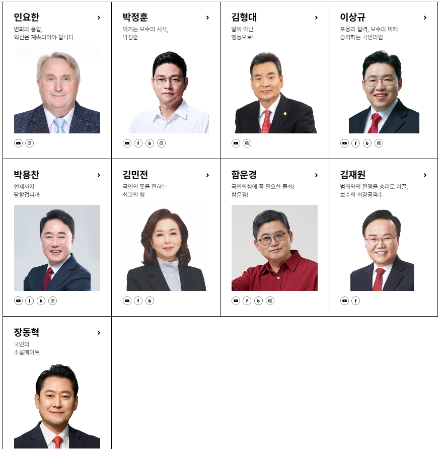 국민의 힘 최고의원 후보