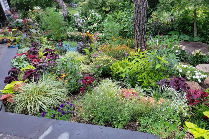 특색 있고 아름다운 민간 정원 30선 추천 여행 - 18. 순천 화가의 정원산책