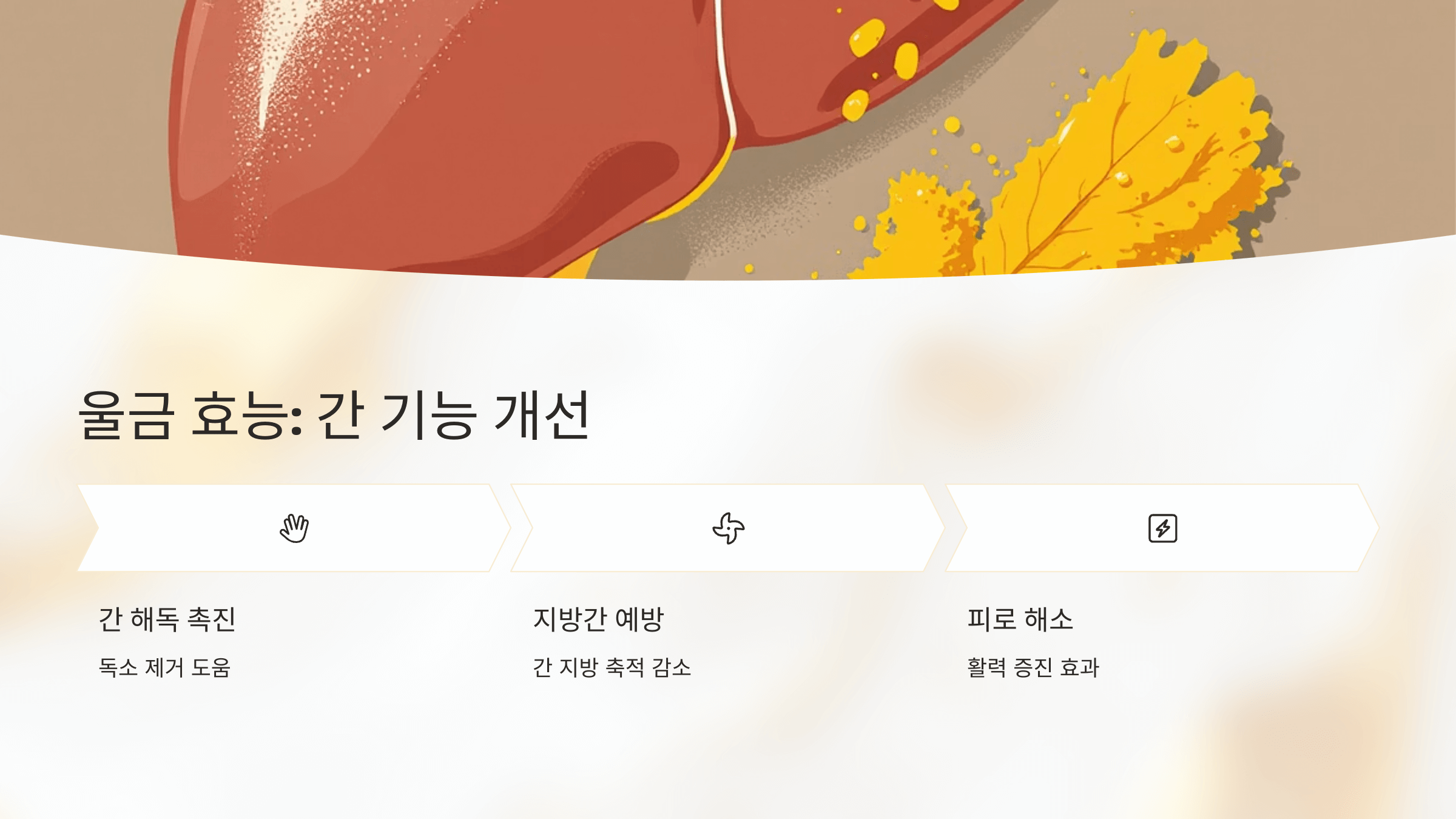 울금 사진입니다.