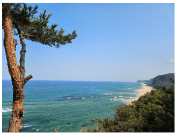 디지털 관광주민증 발급