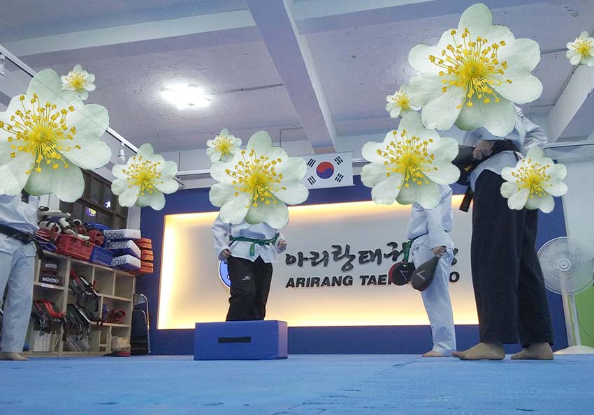 꽃보다 태권도, 찔레꽃