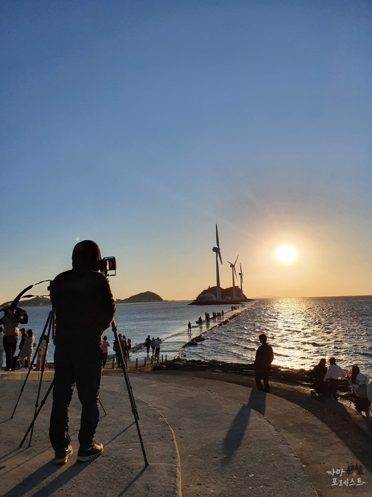 안산 탄도항 출사