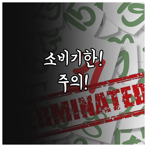 냉장고 속 식재료 소비기한 관리와 보..