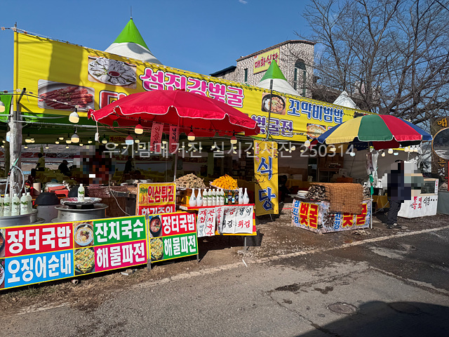 2025 광양매화축제 일정 실시간 개화 주차장