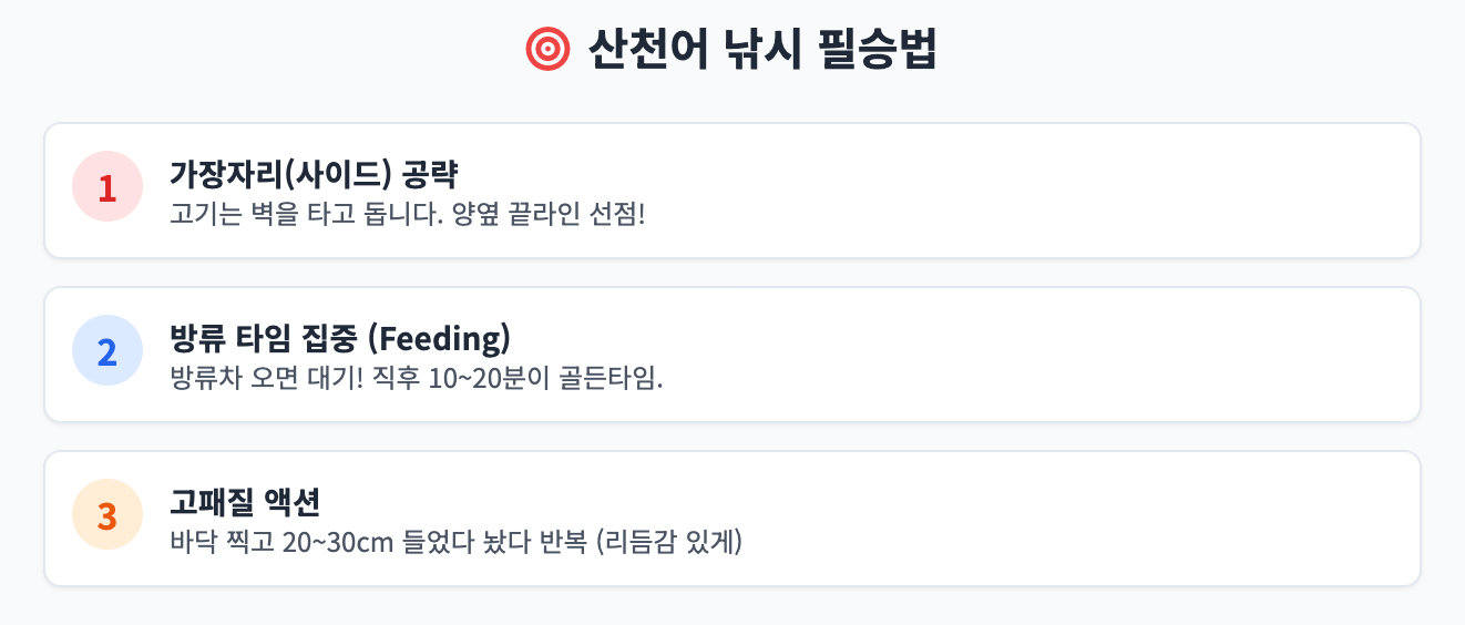 산천어 낚시 명당 필승 공략 인포그래픽