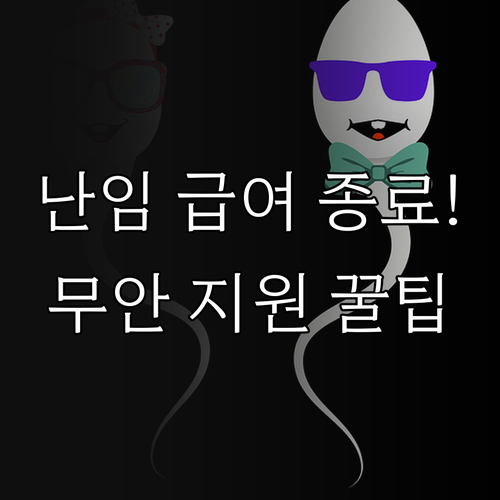 2025년 난임 시술 국가 급여 종료..